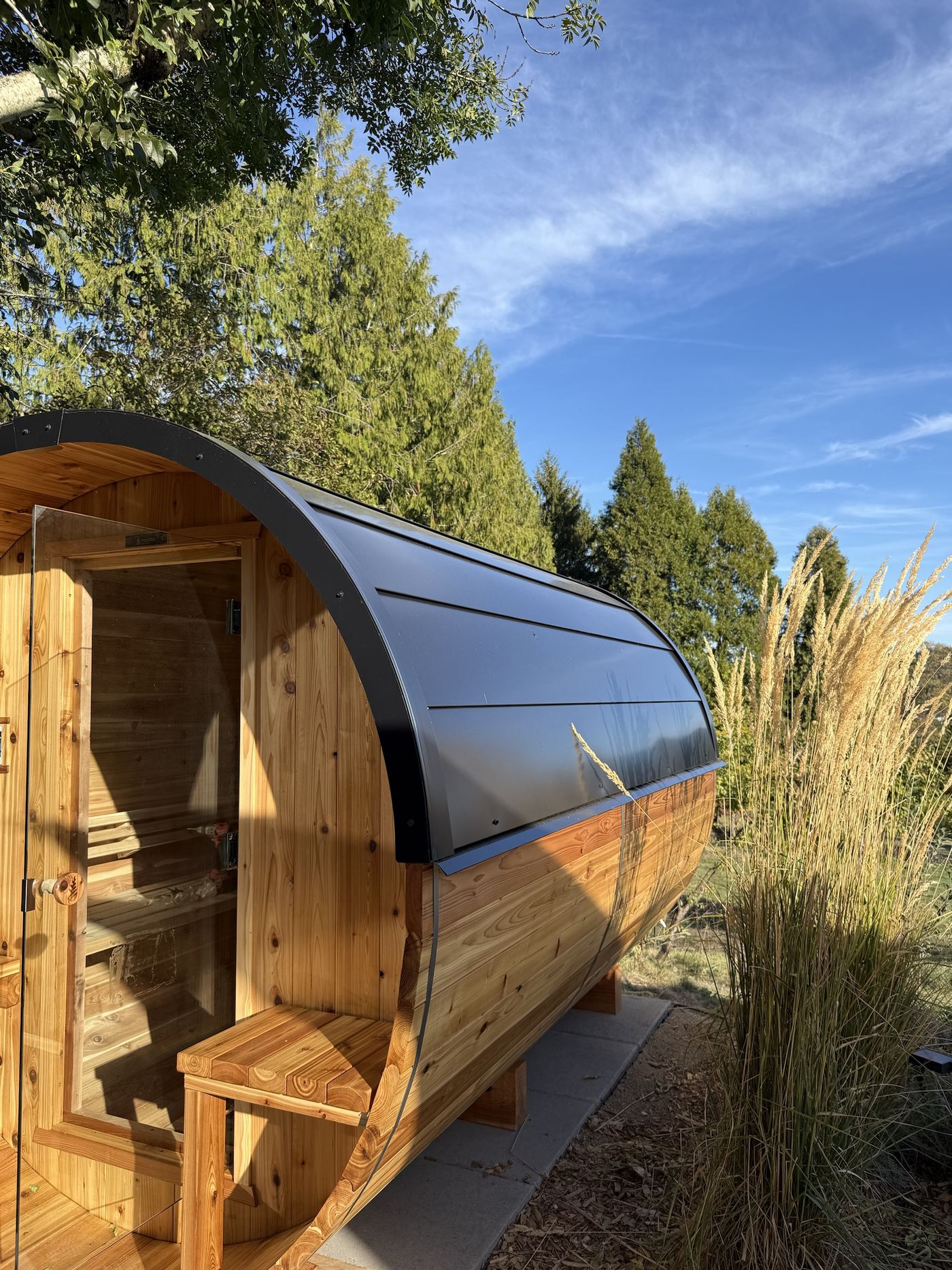 The cedar barrel sauna with its black roof beside tall ornamental grasses on a sunny day